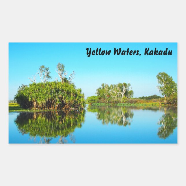 Adesivo de Kakadu, águas amarelas (Frente)