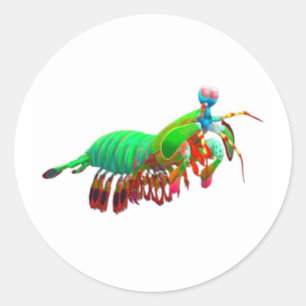 Adesivo de Lagosta-Mantis Verde Elétrica - Oceano 