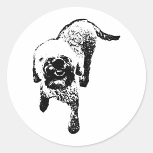 Adesivo de Lagotto Romagnolo – Cachorro de Tinta e