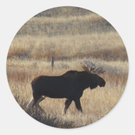 Adesivo de M5 Bull Moose