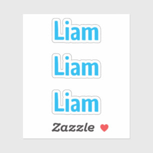 Adesivo de Nome de Crianças Azul Divertido Fofo