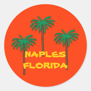 Adesivo de palmeiras do NAPLES FLORIDA