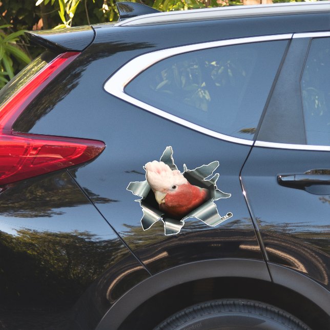 Adesivo de Papagaio Galah Rosa – Decalque de Pássa (Lado do carro)