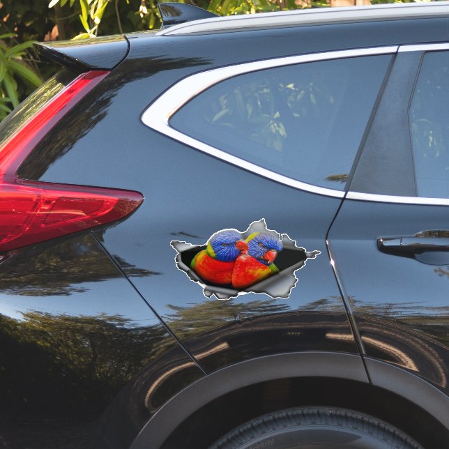 Adesivo de Papagaio Lorikeet Arco-Íris – Ave Vibra (Lado do carro)