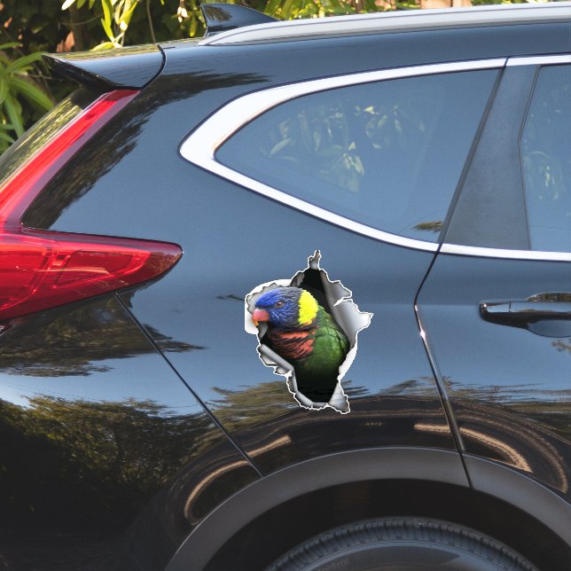 Adesivo de Papagaio Lorikeet Arco-Íris - Decalque  (Lado do carro)