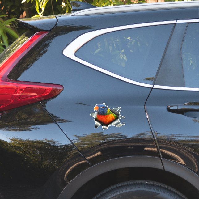 Adesivo de Papagaio Lorikeet Arco-Íris – Sticker C (Lado do carro)