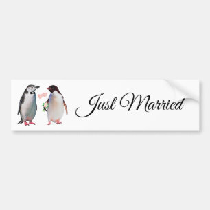 Adesivo de Para-choque de Casal de Pinguins Fofos
