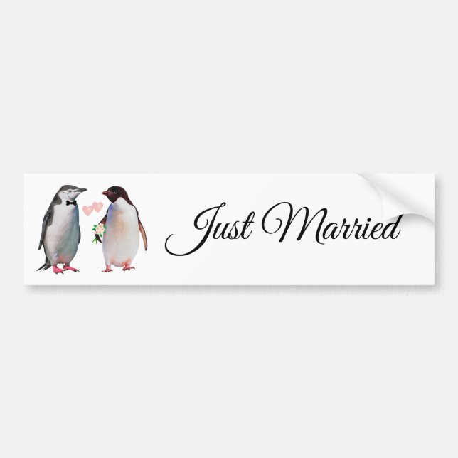 Adesivo de Para-choque de Casal de Pinguins Fofos  (Frente)