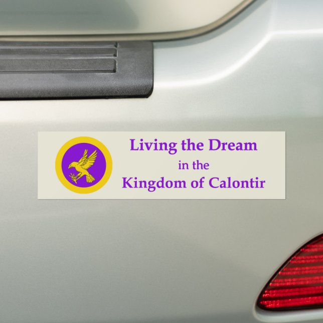 Adesivo de Para-choque SCA Calontir (No carro)
