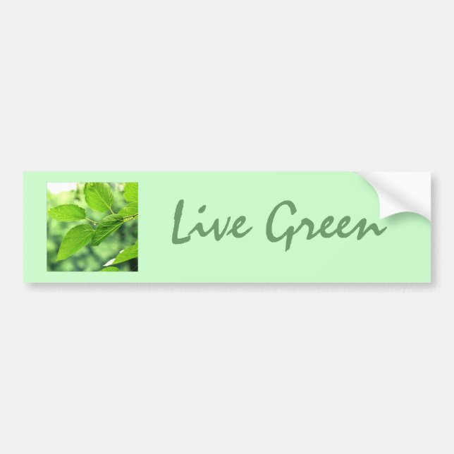 Adesivo de Para-choque 'Viva o Verde' (Frente)