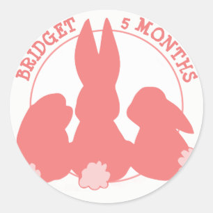 Adesivo de Pedra Mensal de Bunnies Bonitos