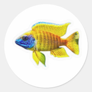 Adesivo de Peixe Ciclídeo Pavão Amarelo Vibrante, 