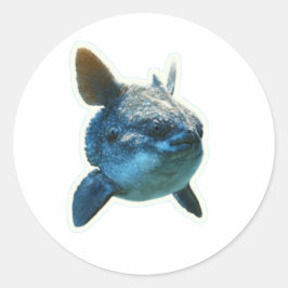 Adesivo de Peixe-Lua Majestoso (Mola Mola) - Bali
