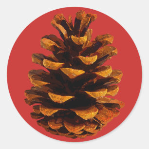 Adesivo de Pinecone Palooza