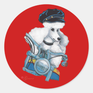 Adesivo de poodle de Pintinho branco