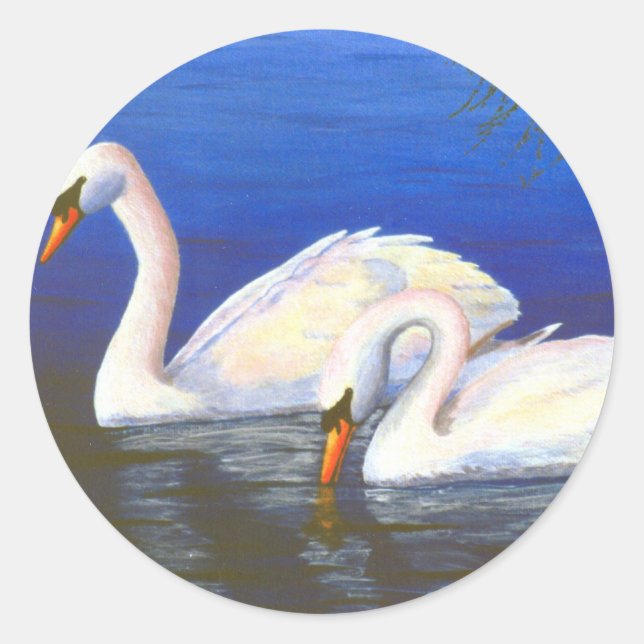 Adesivo de Reflexões de Cisne (Frente)