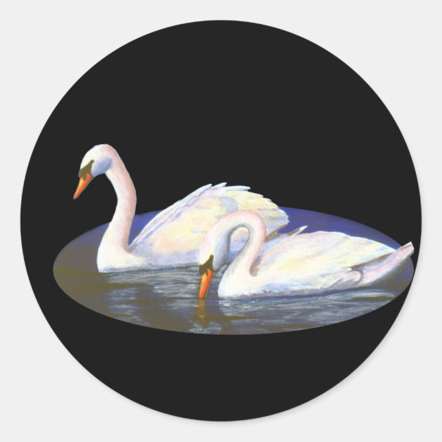 Adesivo de Reflexões de Cisne (Frente)