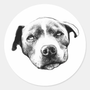 Adesivo de retrato realista de Pit Bull