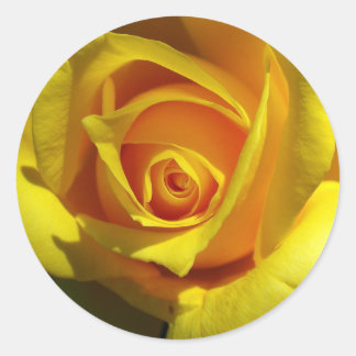 Adesivo de Rosa Amarela