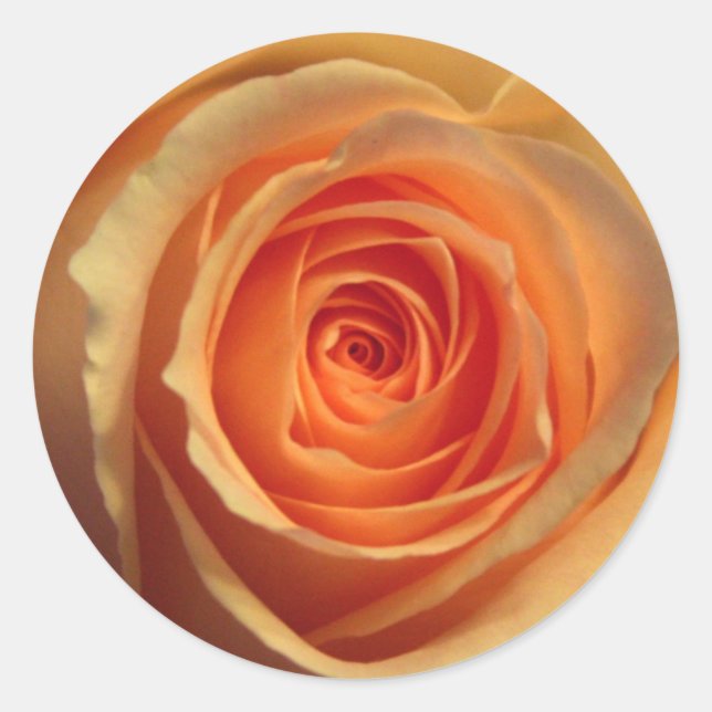 Adesivo de Rosa Amarela (Frente)