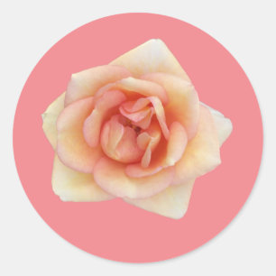 Adesivo de Rosa Pequena