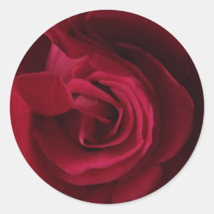 Adesivo de Rosa Vermelha