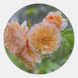 Adesivo de Rosas de pêssego