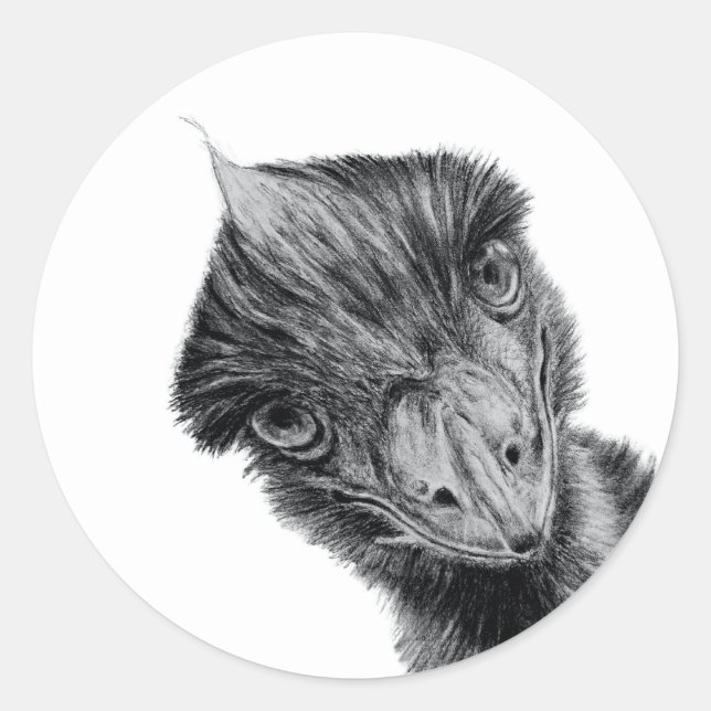 Adesivo de Rosto de Emu Engraçado | Arte de Pássar (Frente)