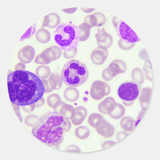adesivo de sangue