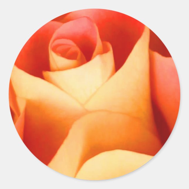 Adesivo de selagem de envelope de Rosa de pêssego (Frente)