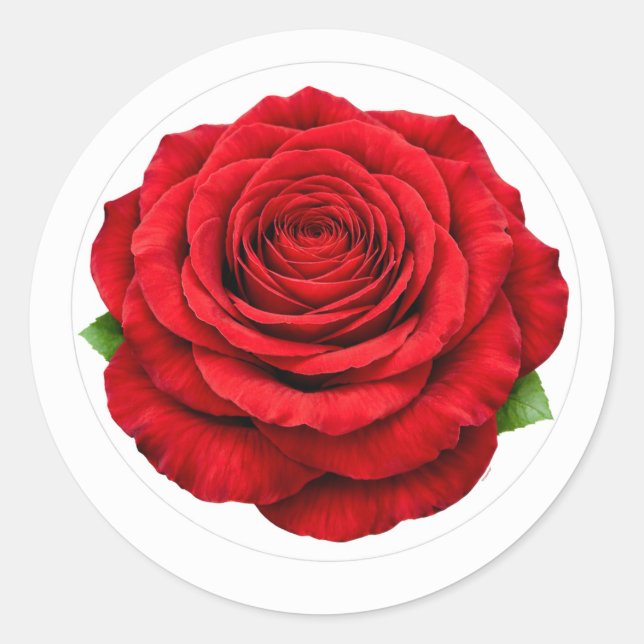 Adesivo de Selagem de Envelope Redondo Rosa Vermel (Frente)
