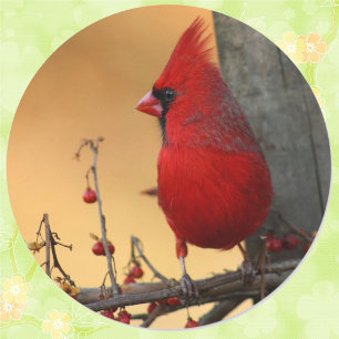 Adesivo de selagem de envelopes cardinais vermelho