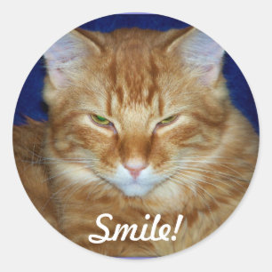 Adesivo de sorriso de gato listrado laranja