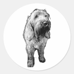 Adesivo de Spinone – Retrato Emocional de Cachorro