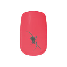 A aranha-da-velha negra do Halloween sobre fundo v