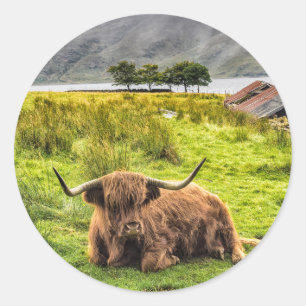 Adesivo de Vaca Highland