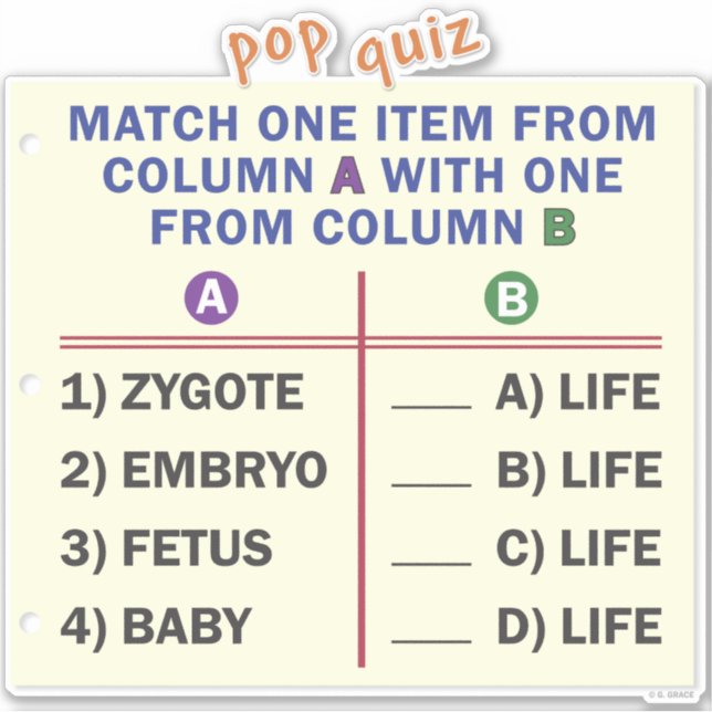Adesivo de vinil com um quiz. (Frente)