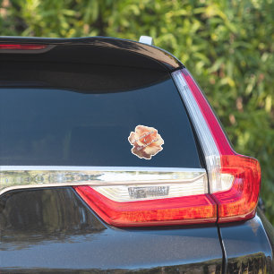 Adesivo Decal de Casamento de Rosa de Pêssegos Selvagens