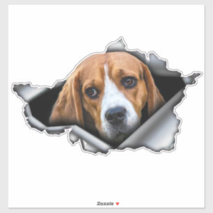 Adesivo Decal do carro de beagle, imã de Beagle, autocolan