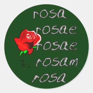 Adesivo Declinação cor-de-rosa Deklination do latino