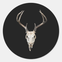 Deer Skull Antler sobre fundo preto