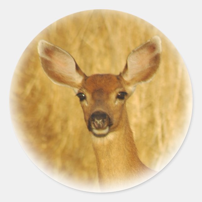 Adesivo Deer Stickers (Frente)