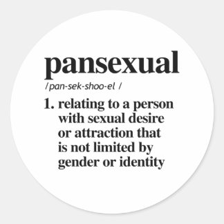 Adesivo Definição Pansexual - Termos LGBTQ Definidos -