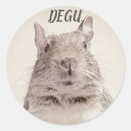 ADESIVO ♧ DEGU ♧