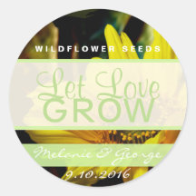 Deixe O Amor Cultivar Vinhetas De Girassol