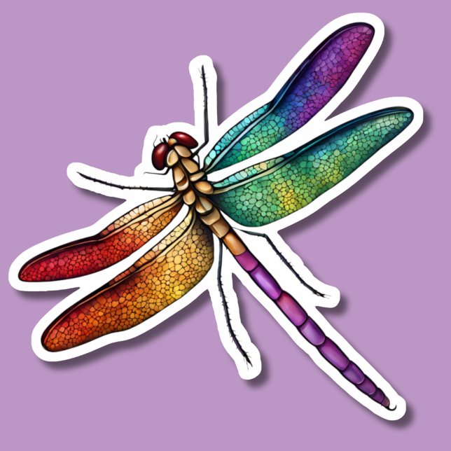 Adesivo Delicar Rainbow Dragonfly (Criador carregado)