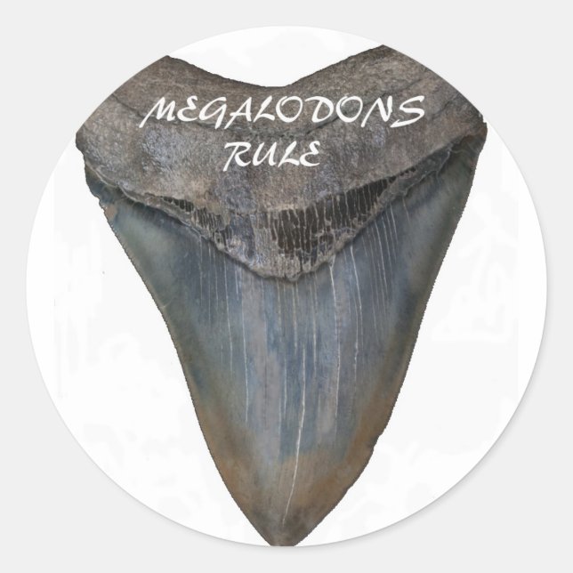 Adesivo Dente de tubarão Megalodon (Frente)