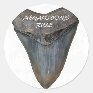 Adesivo Dente de tubarão Megalodon
