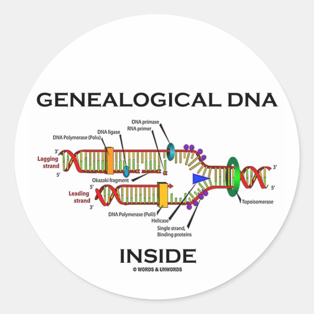Adesivo Dentro de ADN genealógico (replicação do ADN) (Frente)