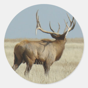 Adesivo Desafiador dos alces de E20 Bull